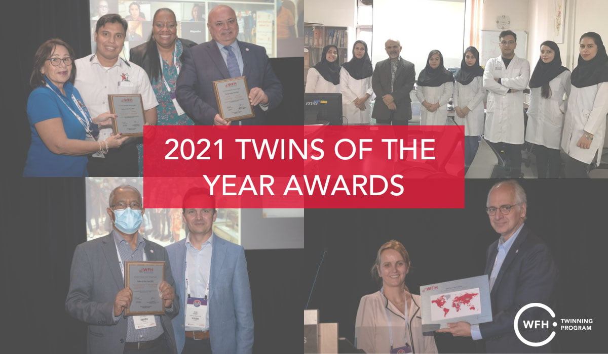 HWO-2021-Twins-of-the-Year-Awards---header