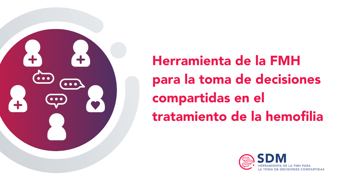 sdm-tool-banner-ES