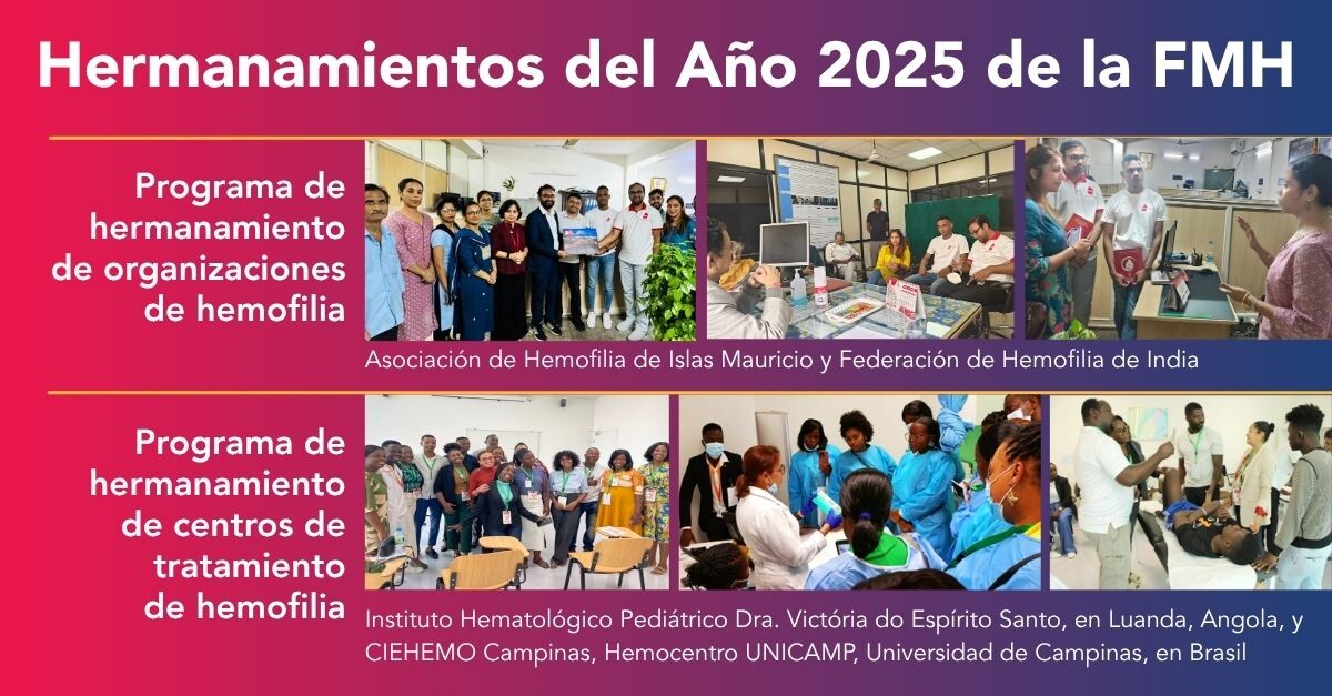 Se anuncian los Hermanamientos del año 2025 de la FMH