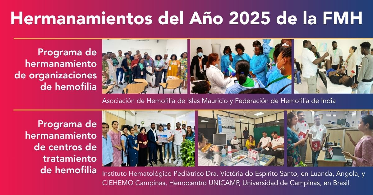 Se anuncian los Hermanamientos del año 2025 de la FMH