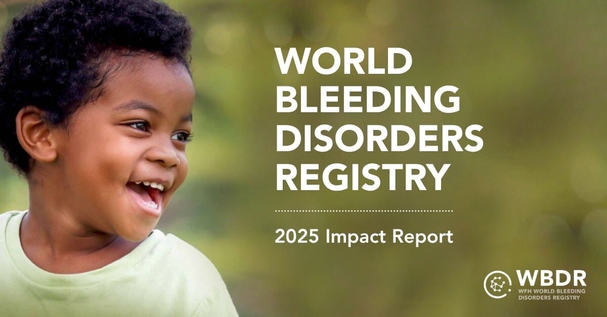 2025 WBDR Impact Report published